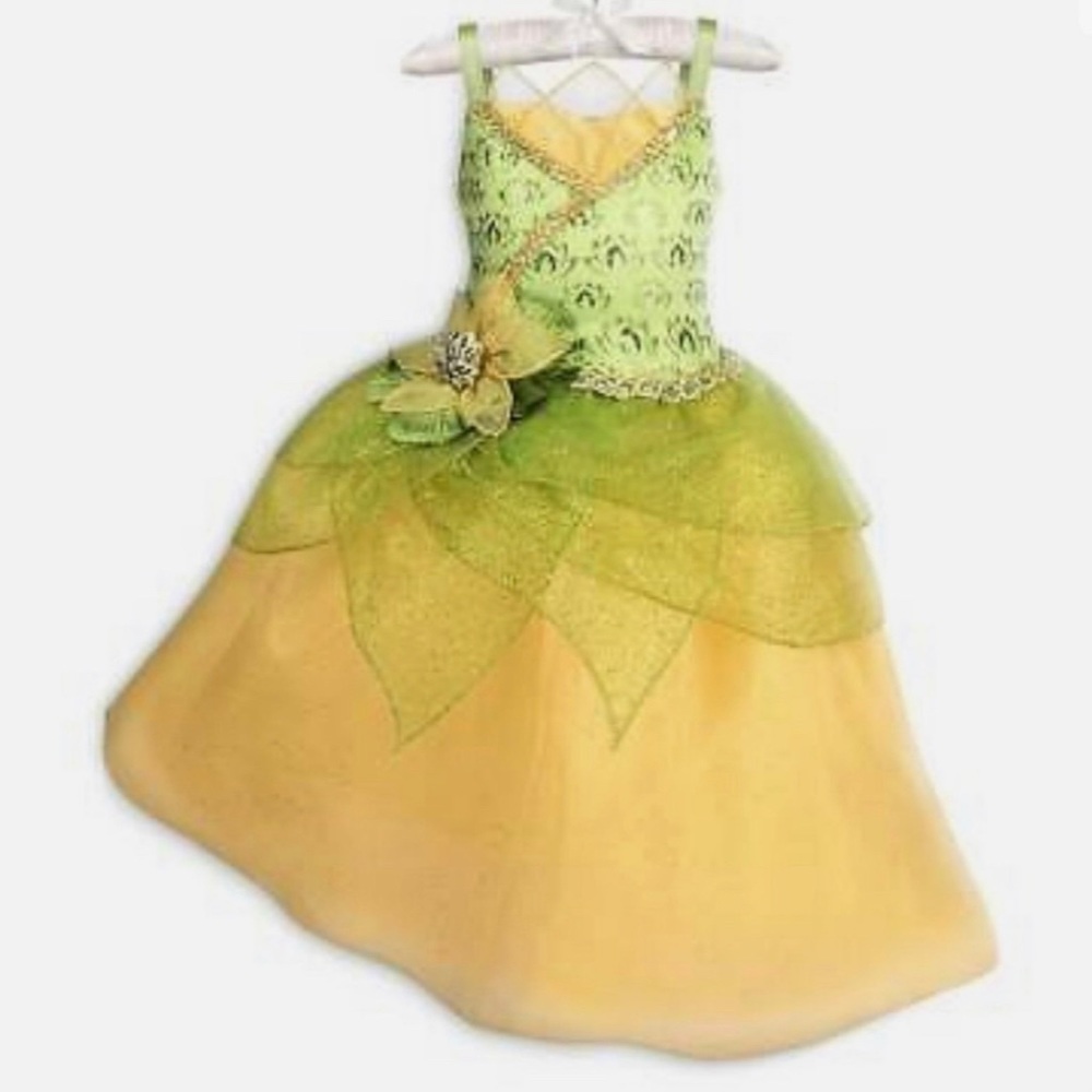 Disney Princess Tiana costume ~Dress-up gown